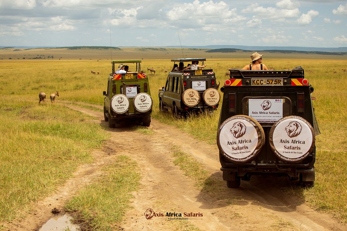 Axis Africa Safaris, Найроби: лучшие советы перед посещением - Tripadvisor