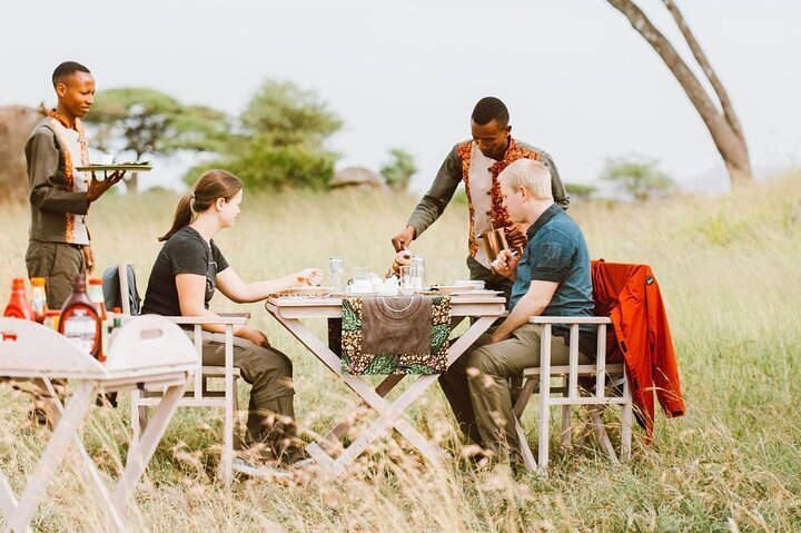 2023 Bush Lunch in the Wild in Serengeti & Tarangire National Parks