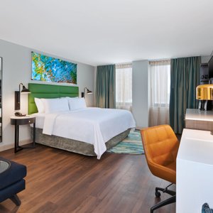 King Deluxe Room close to Mayo Clinic, part of Skyway