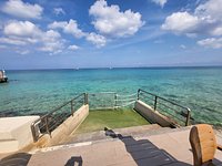 The Money Bar Beach Club (Cozumel, Mexico) - Đánh giá - Tripadvisor