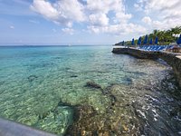 The Money Bar Beach Club (Cozumel, Mexico) - Đánh giá - Tripadvisor