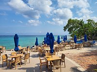 The Money Bar Beach Club (Cozumel, Mexico) - Đánh giá - Tripadvisor