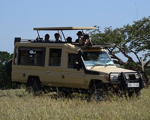 flexivel kenya safaris reviews