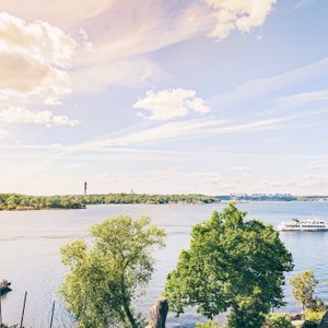 Summer View