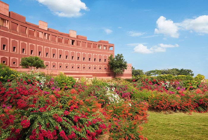 Ludo Online Cash Game - Top, Best University in Jaipur, Rajasthan