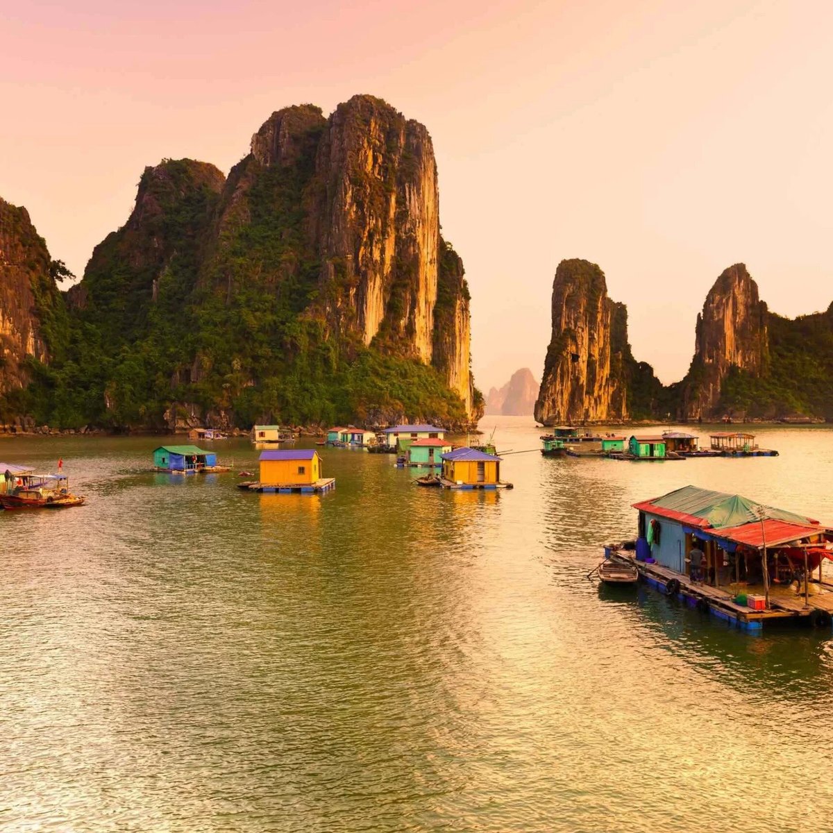 VIETNAM TOP TRIPS (2024) All You Need to Know BEFORE You Go (with