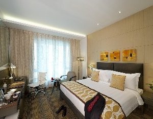 fern Club room