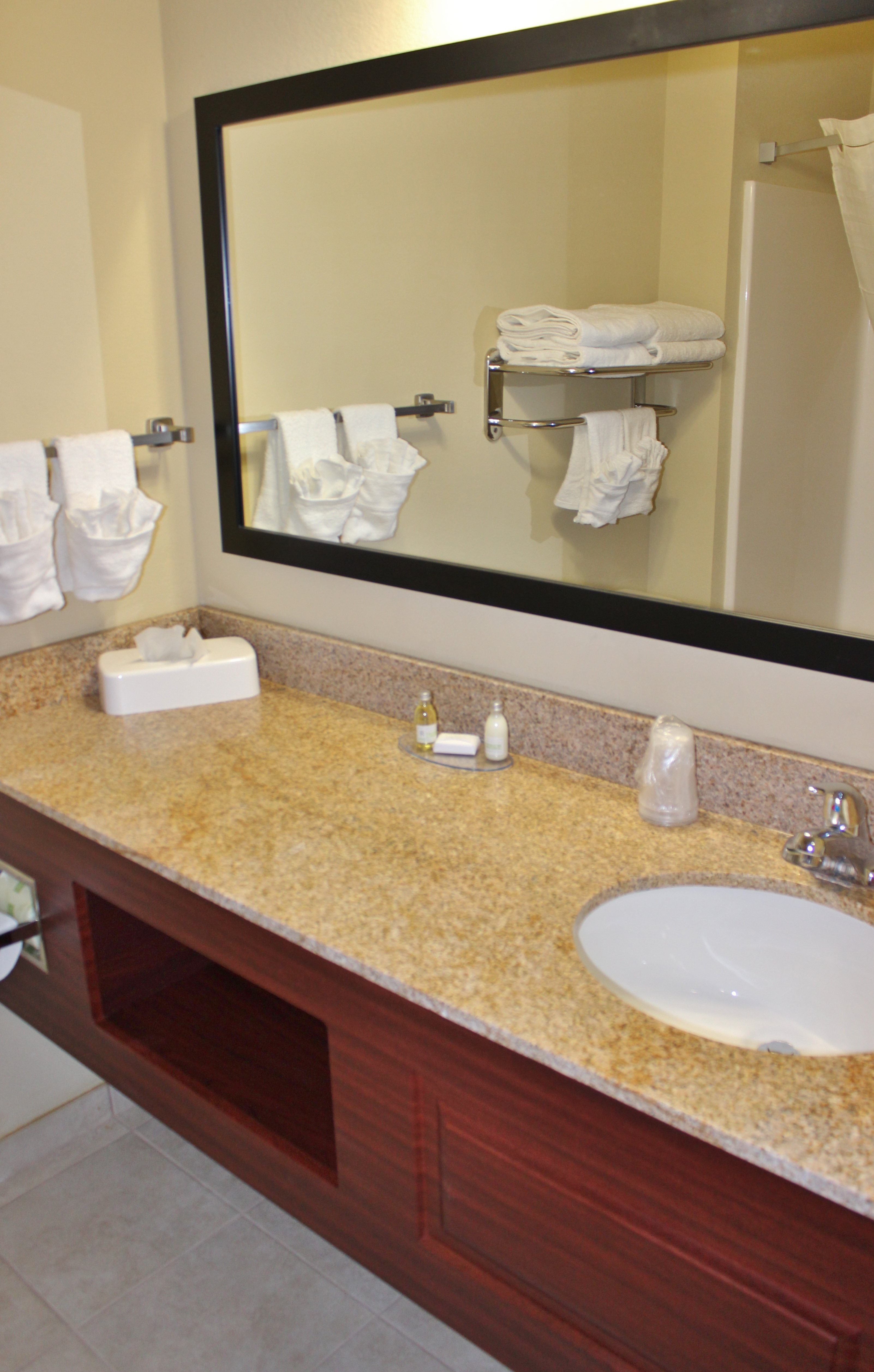 COBBLESTONE INN AND SUITES MARQUETTE IA PRAIRIE DU CHIEN Updated   Guestroom Bathroom 