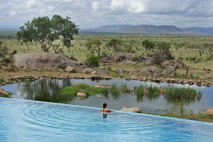 The infinity pool overlooking the watering hole