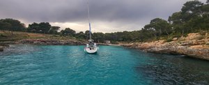 Holls Boat Charter - All You Need to Know BEFORE You Go (with Photos)