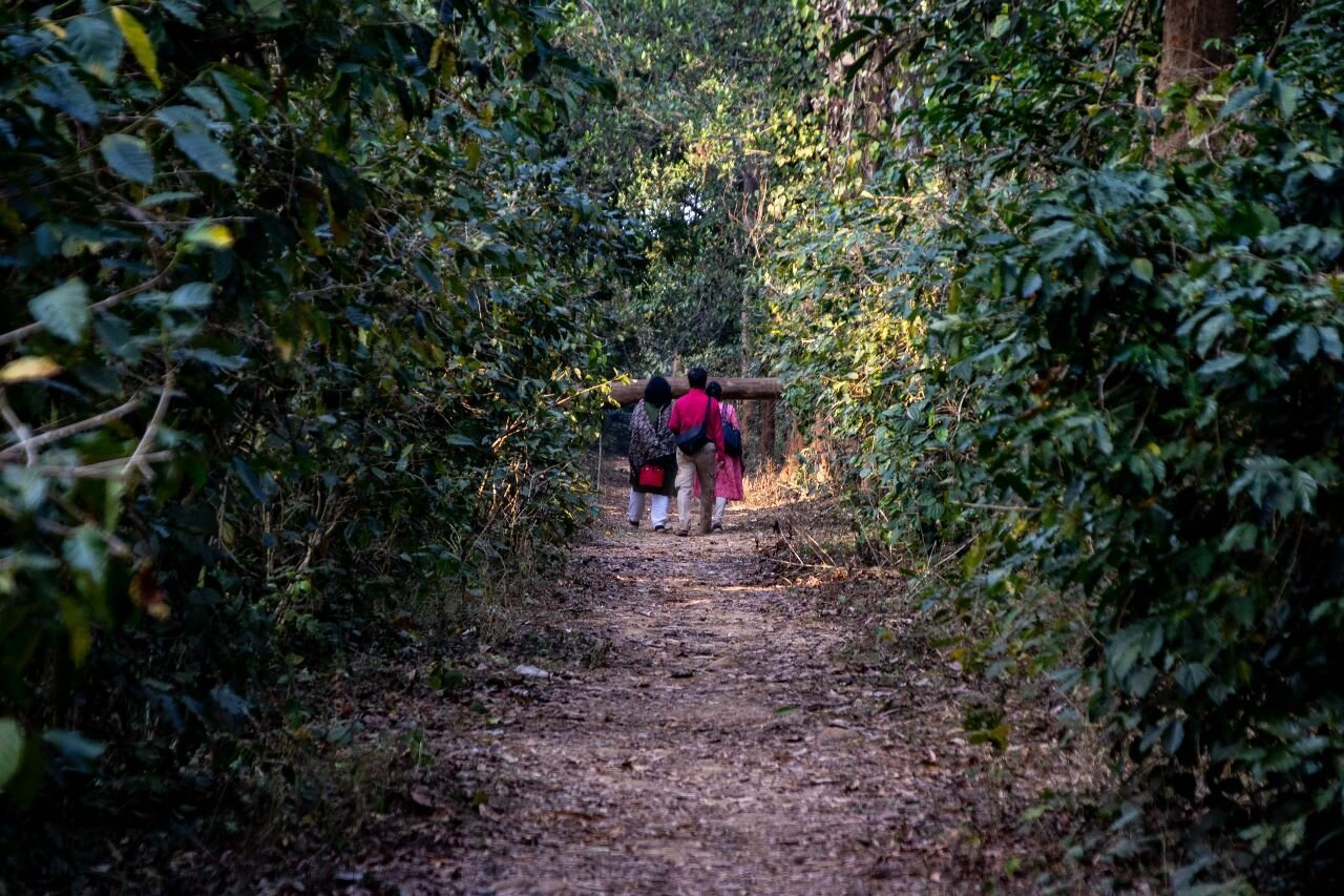 DARINGBADI NATURE CAMP - Lodging Reviews & Photos - Tripadvisor