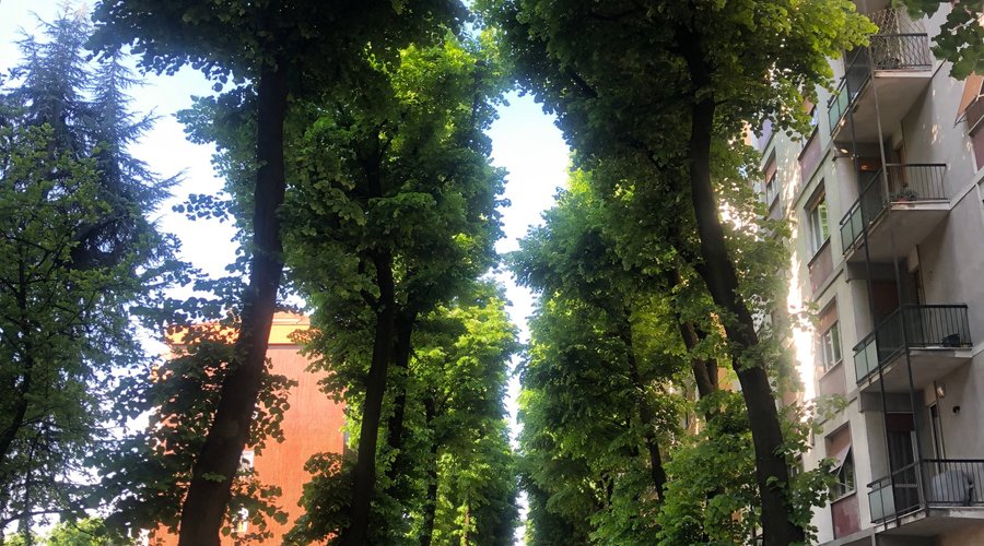 Via Campesio in Piacenza