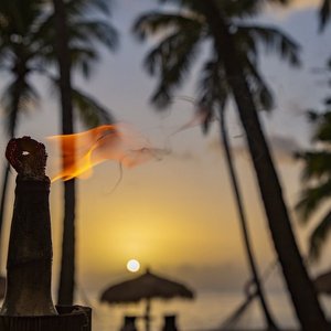 Beach Torch
