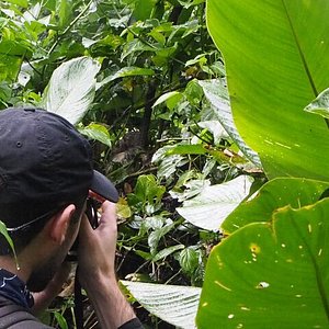 amazonas colombia tourism