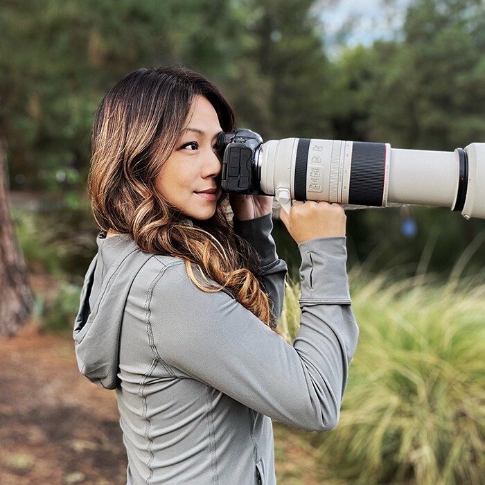 2024年 Orange County California Birding Photography Tour 出発前に知っておくべきこと