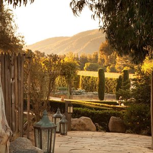 Detail Gardens