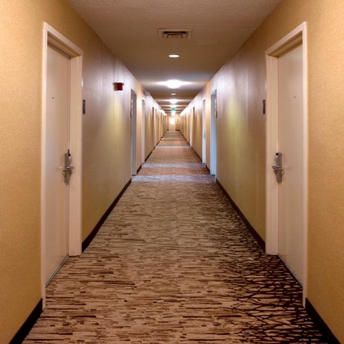 My Image 69