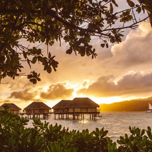 Overwater Suite  - Le Taha'a by Pearl Resorts