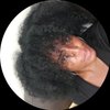 Averil L