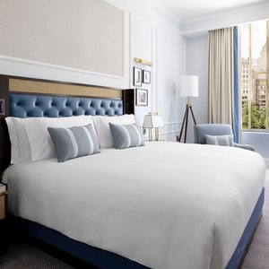 Deluxe Park View Room