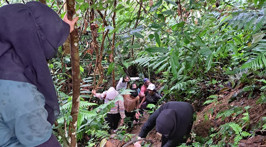 Jungle trekking