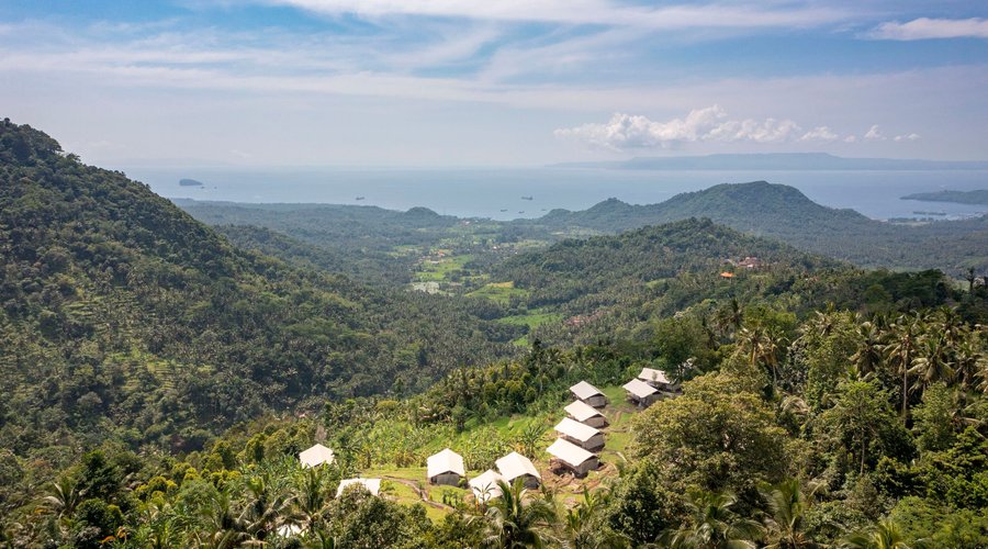 Kaura Bali