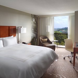 King Guest Room