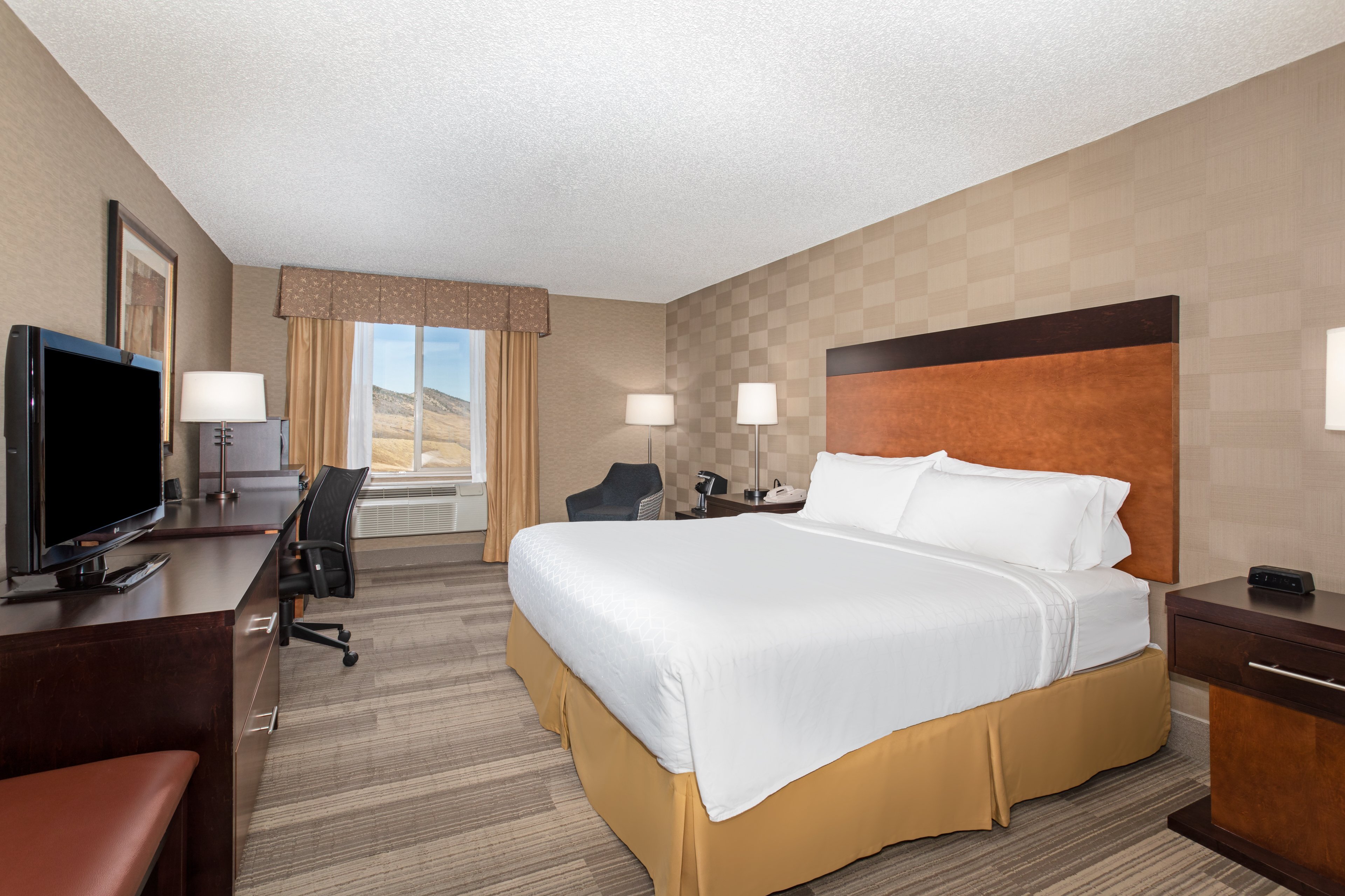 HOLIDAY INN EXPRESS SUITES DENVER SW LITTLETON AN IHG HOTEL 105   Guest Room 