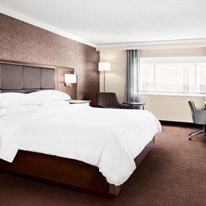 King Guest Room