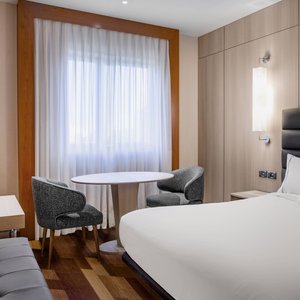 Queen Guest Room