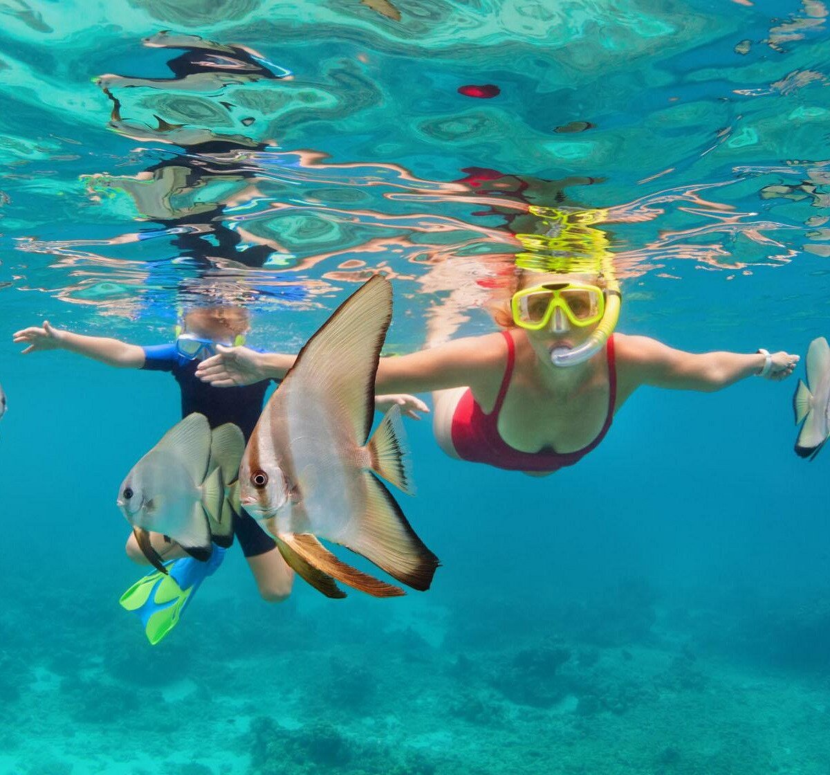 Tours To Roatan Qu SABER Antes De Ir ACTUALIZADO 2024 Tripadvisor tours-to-roatan-qu-saber-antes-de-ir-actualizado-2024-tripadvisor