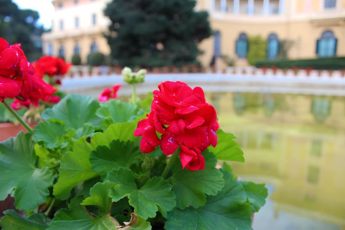 Imagen 10 de Jardins Palau Reial Pedralbes