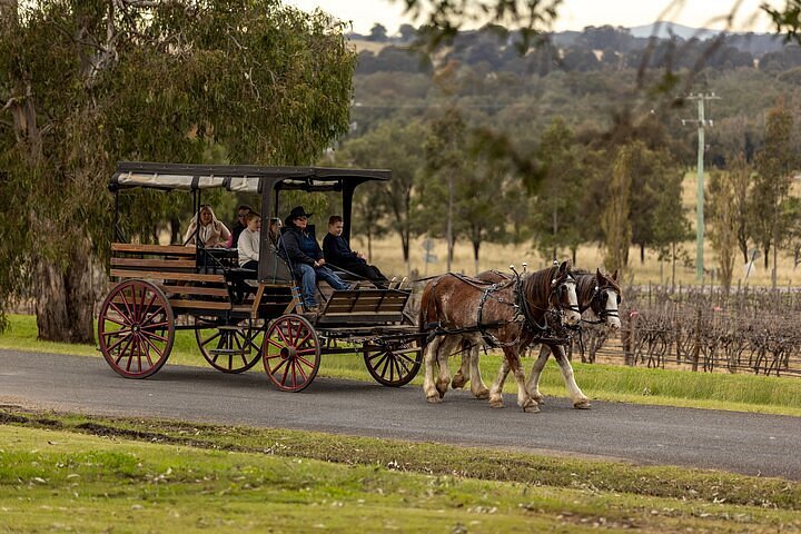 hunter wine tours pokolbin