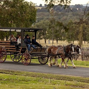 wollombi valley tourism