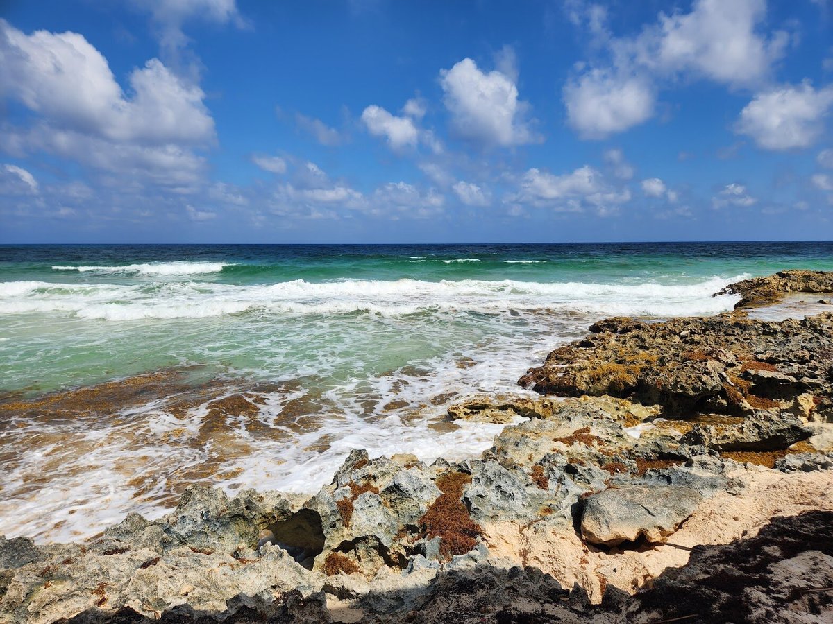 ULTIMATE COZUMEL ISLAND BUGGY TOUR - Qué SABER antes de ir