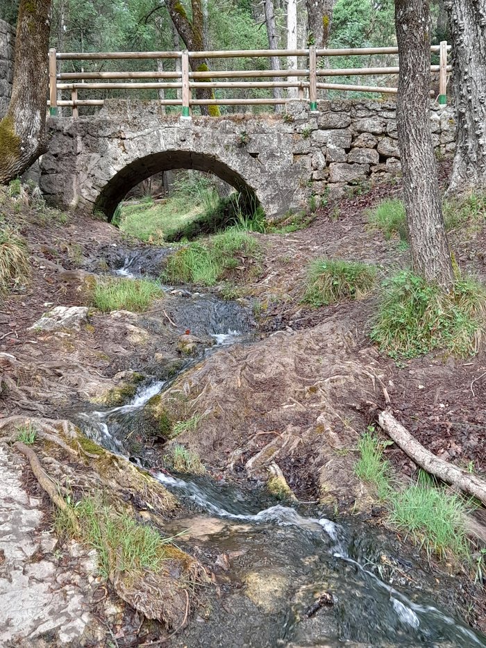 Imagen 11 de Puente de las Herrerias