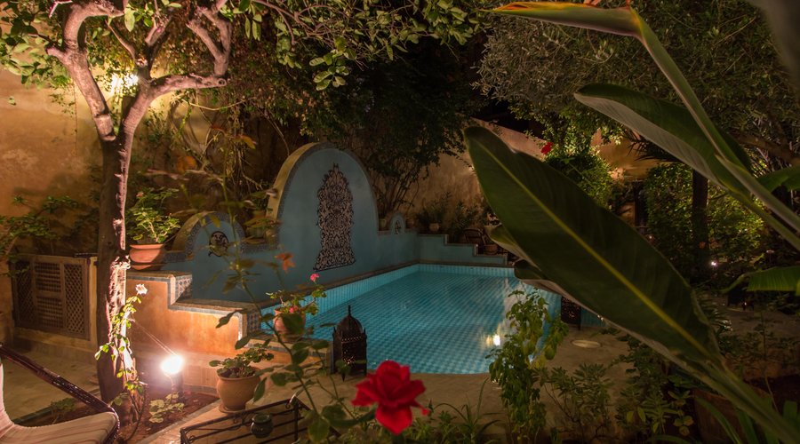 Garden, Swimming pool