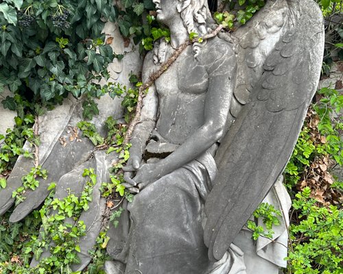 Wildlife Watching in Vienna Cemeteries