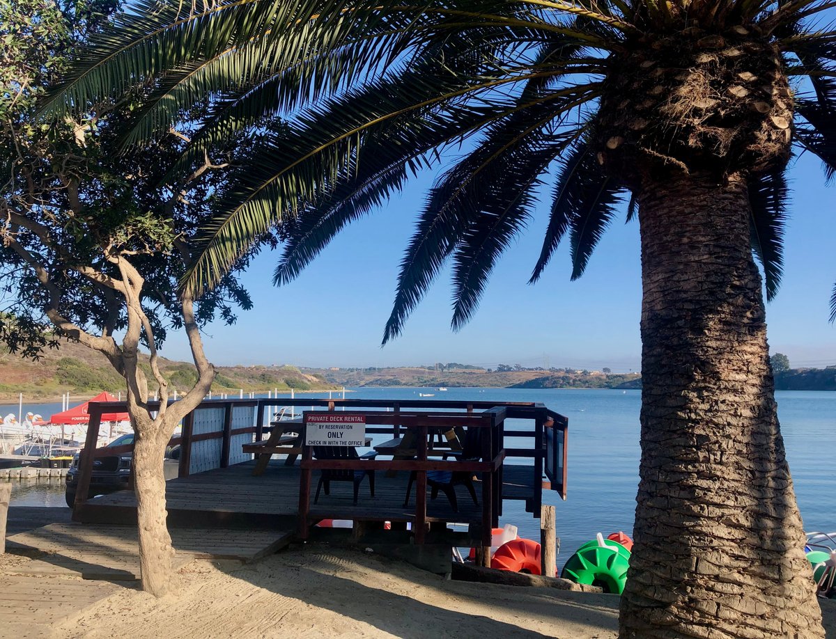 are dogs allowed at carlsbad lagoon