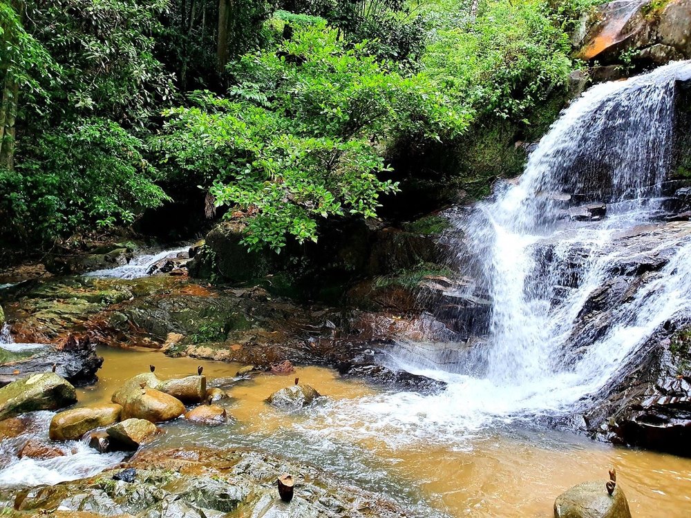 THE 5 BEST Things to Do in Kuala Pilah District - 2023 (with Photos)