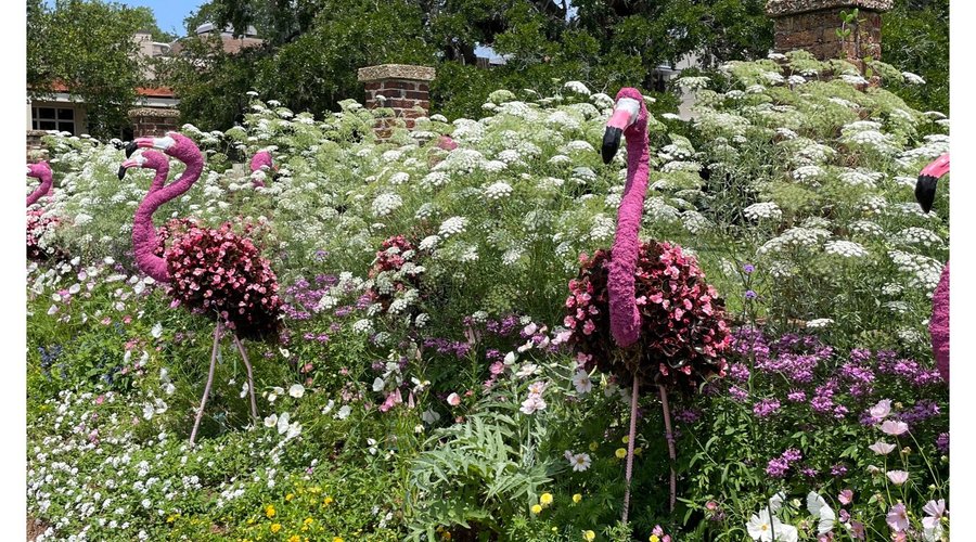 Cummer Garden