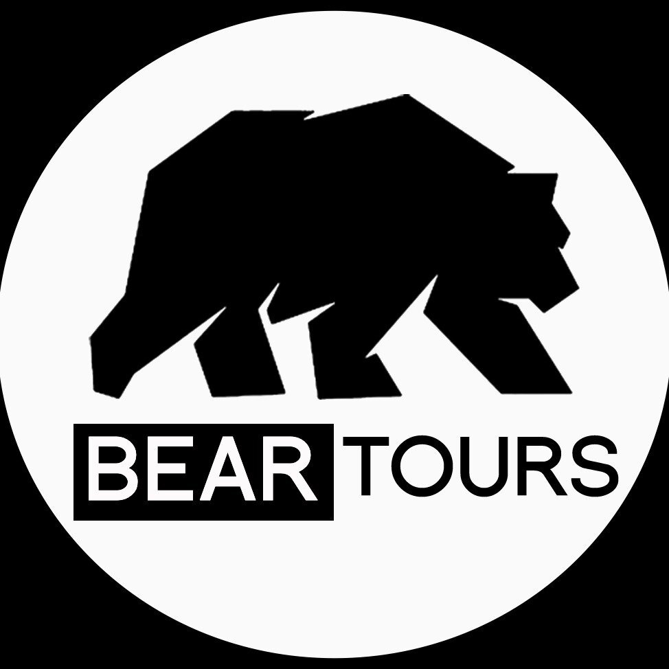 BEAR TOURS CHILE (2024) All You Need to Know BEFORE You Go (with Photos