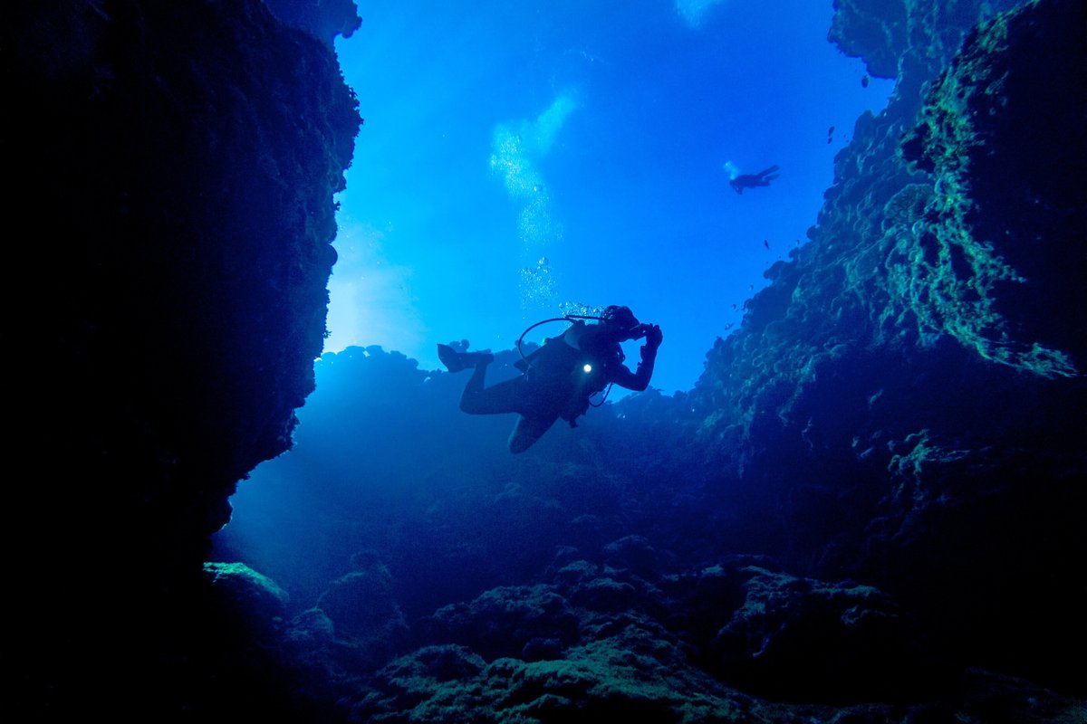 2025年 Niue Blue Island Experiences 出発前に知っておくべきことすべて トリップアドバイザー