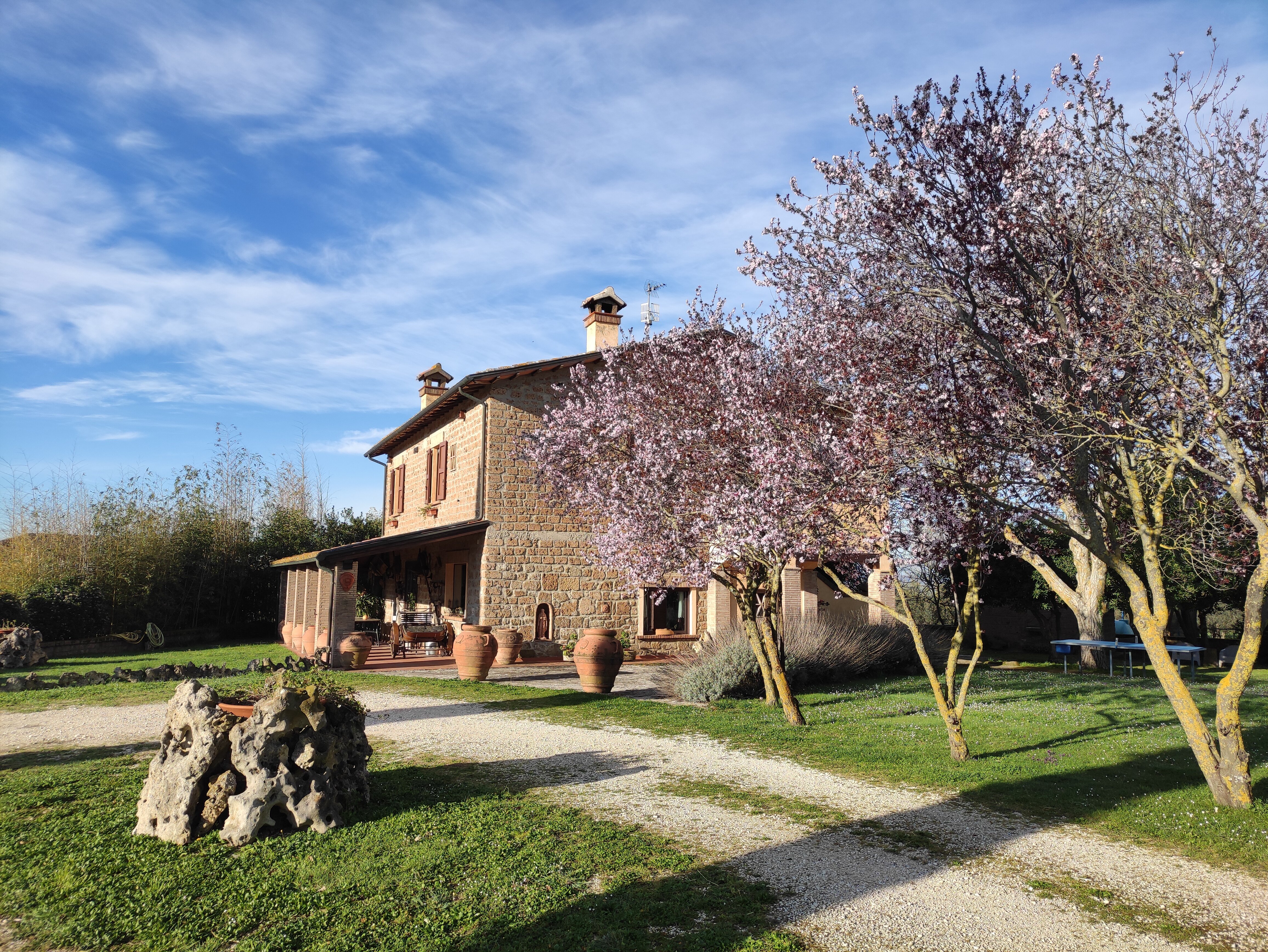 B&B IL PANTANELLO - Reviews (Rocca Di Papa, Italy)