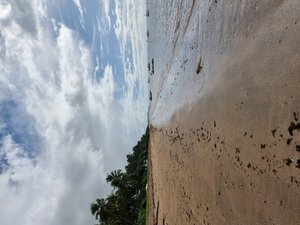 Viajante
