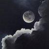 Silver Moon