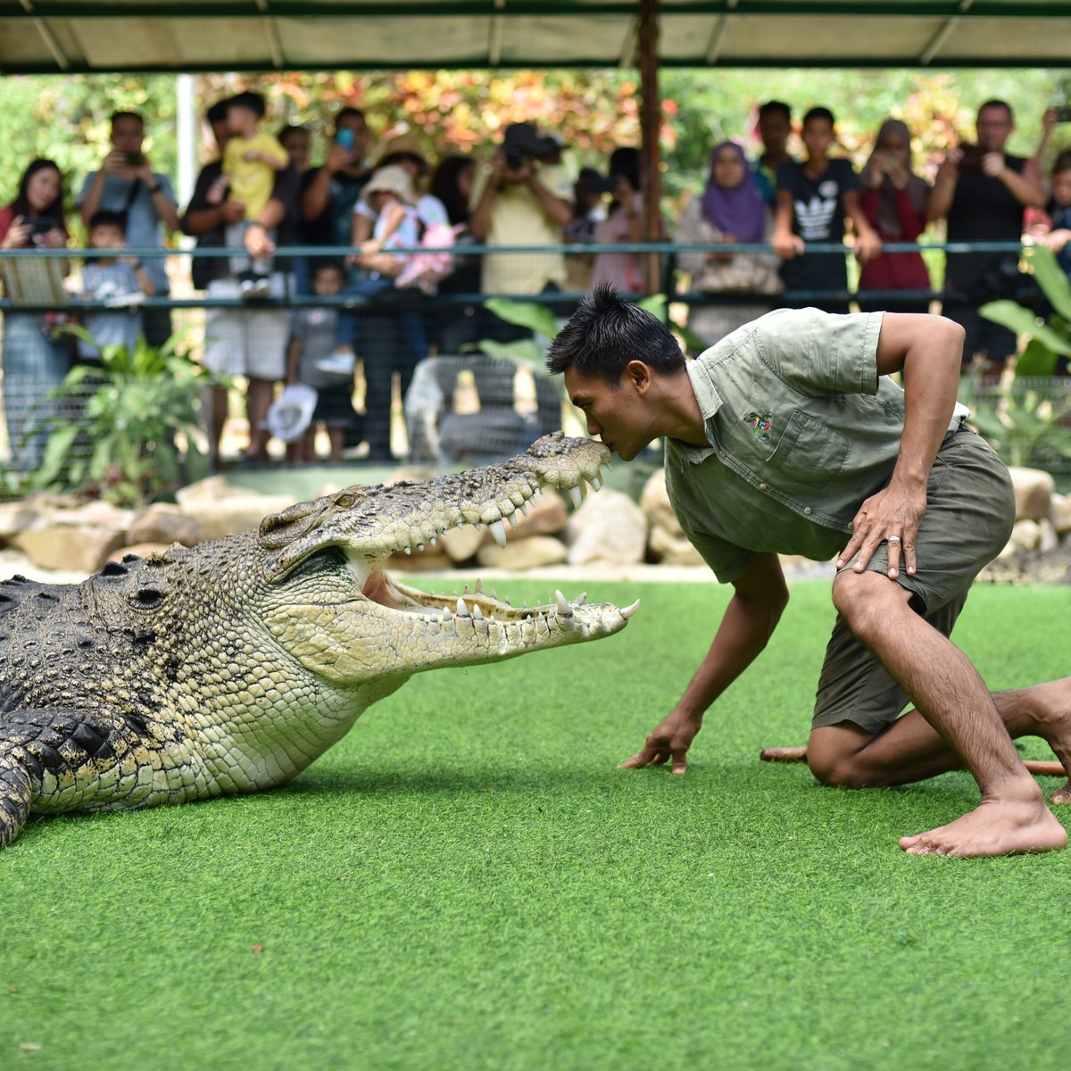 Crocodile Adventureland Langkawi, Лангкави: лучшие советы перед посещением  - Tripadvisor