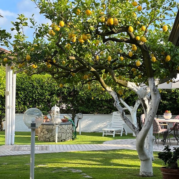 THE BEST Cellole Bed and Breakfasts 2025 (with Prices) - Tripadvisor