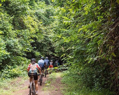 Dong Nai, Vietnam - An adventure in the tropical jungle