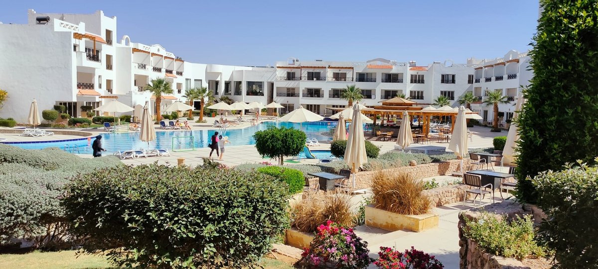 OLD VIC SHARM RESORT - Updated 2024 Prices & Hotel Reviews (Sharm El ...